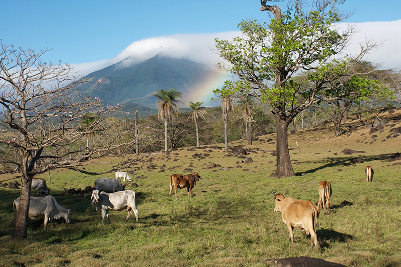 guanacaste6